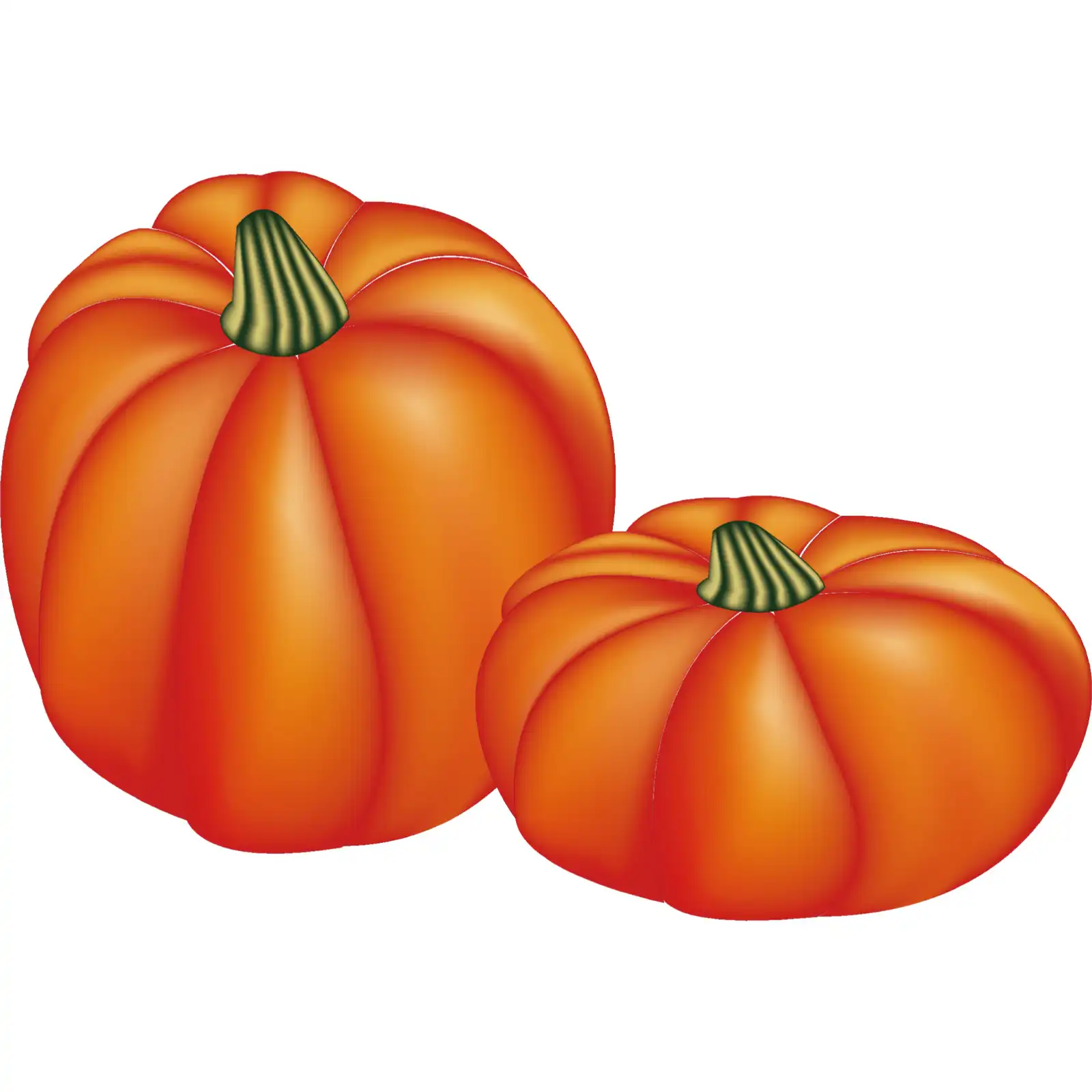 Ilustracija zrelih tikvi, savršenih za pripremu jesenskih recepata.
