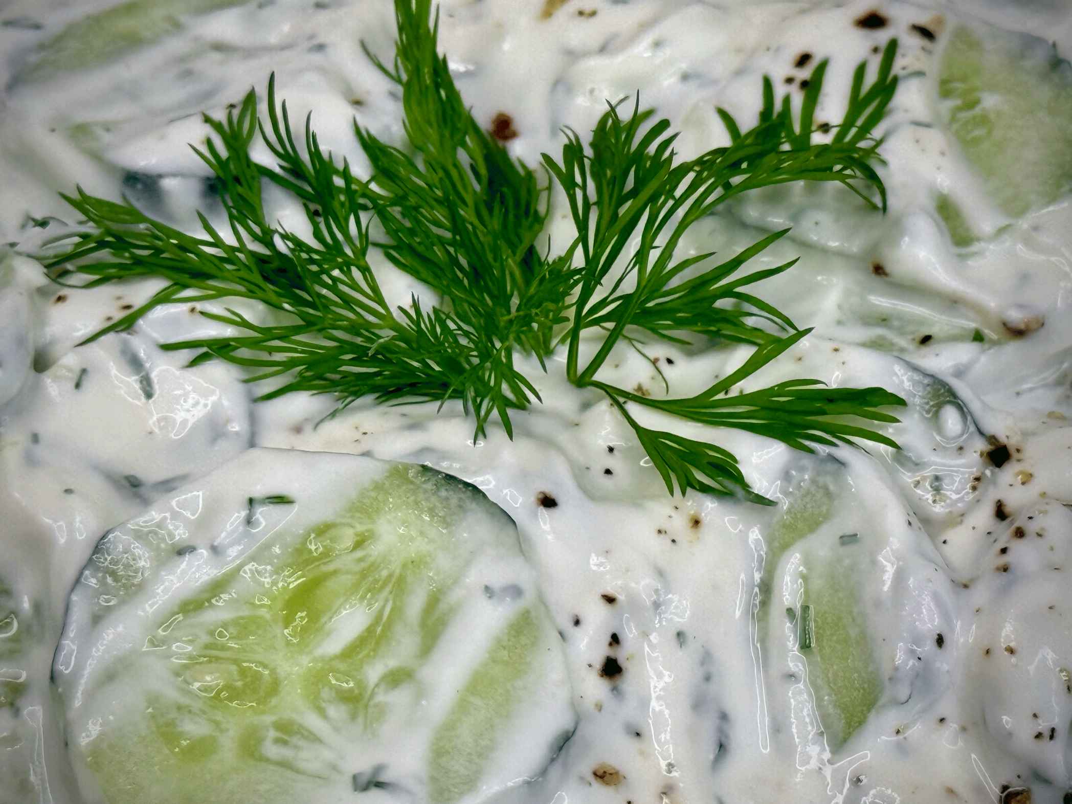Salata od krastavaca i mirođije (kopra) – Recept