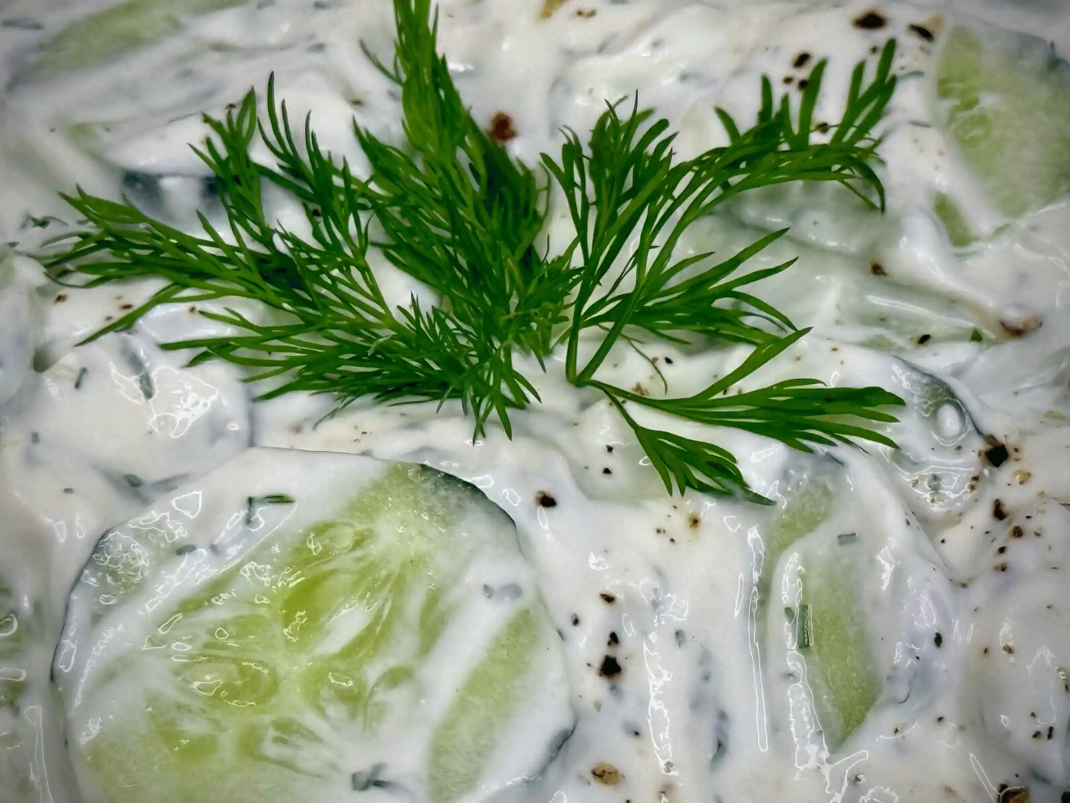 Salata od krastavaca i mirođije sa pavlakom